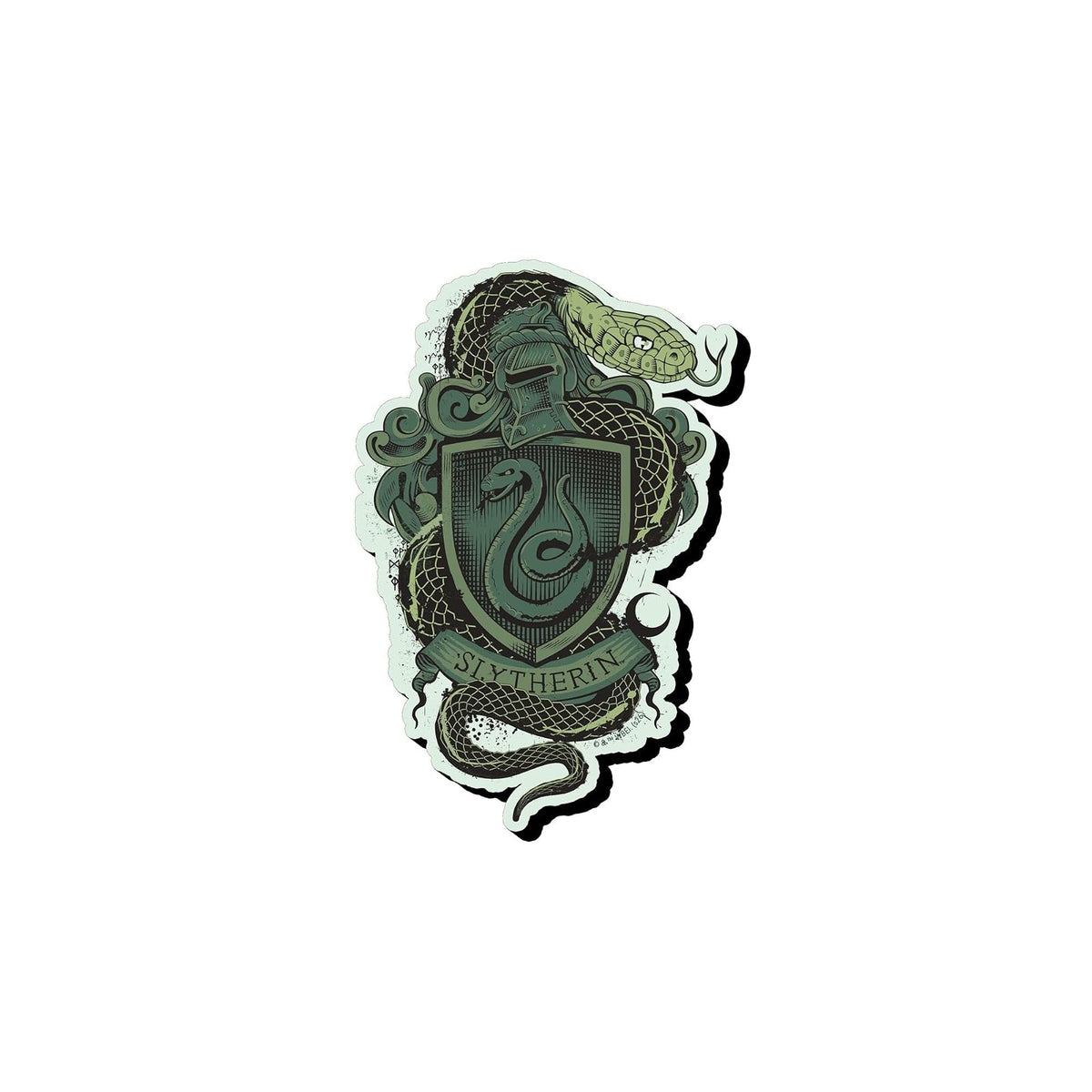 AQUARIUS Decorative Magnet, Multi Color
