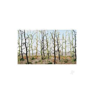 JTT Plant Seed, white