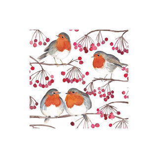 Paperproducts Design Disposable Napkin
