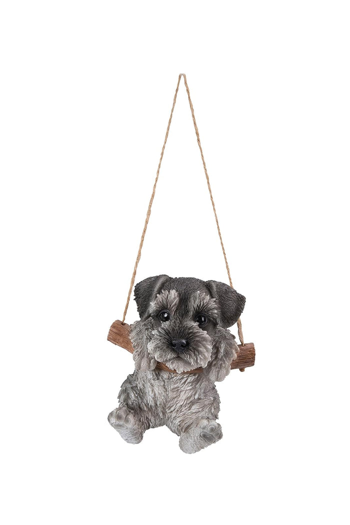 Hi Line Hanging Schnauzer Puppy
