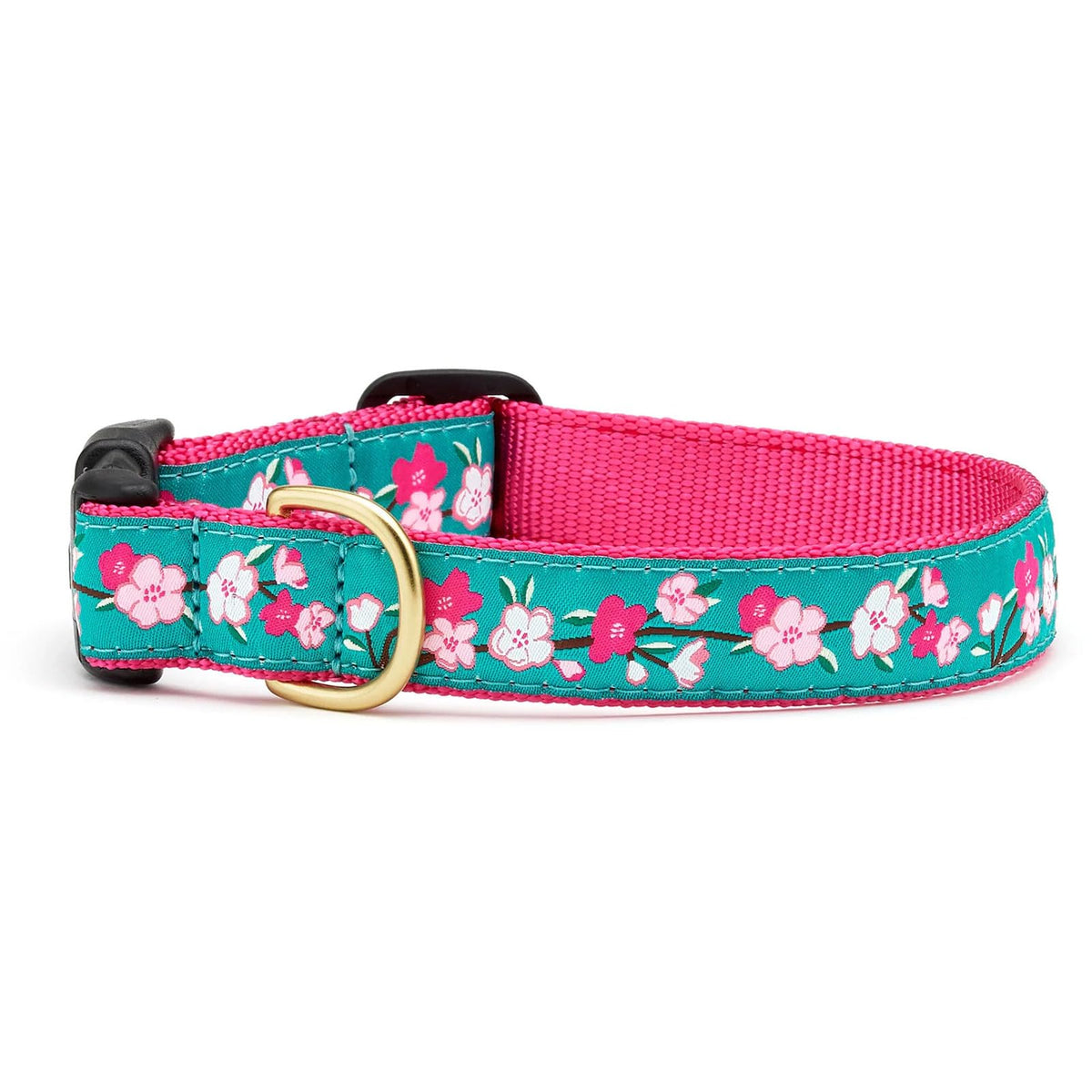 Up Country Animal Collar, Medium (12"-18") 1" width, Narrow 5/8"