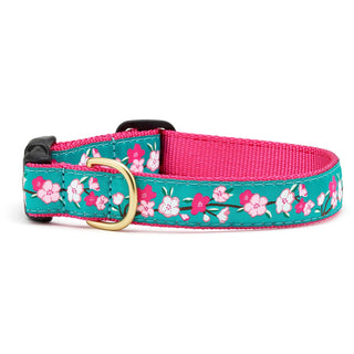 Up Country Animal Collar, Medium (12"-18") 1" width, Narrow 5/8"