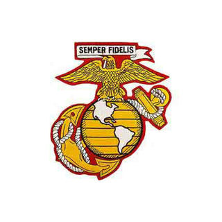 Eagle Emblems, Inc. Fabric Applique Patch, 10 inches, Yellow
