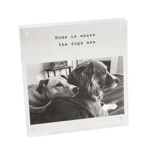 Mud Pie Picture Frame, One Size, Bone