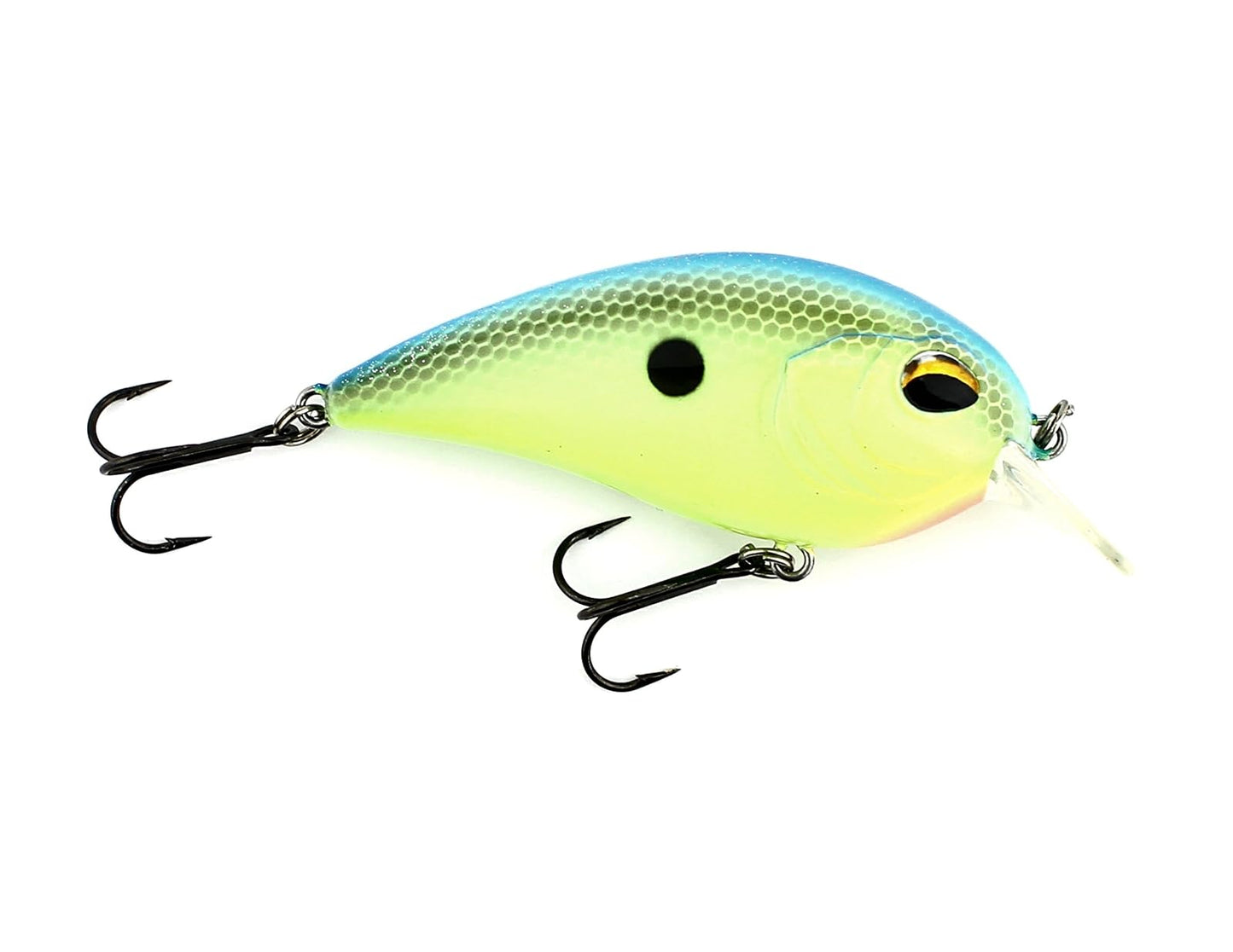 Jenko Fishing CDSTS CD² - 65mm Square Bill Crank Bait Tropical Shad 5/8 oz