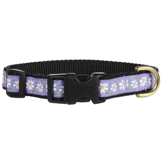 Up Country Animal Collar