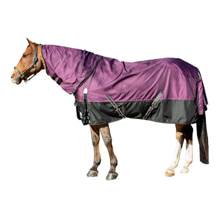Equinavia Pet Apparel, 75 in, Plum Wine