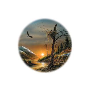 Wild Wings Drink Coaster, Multicolor