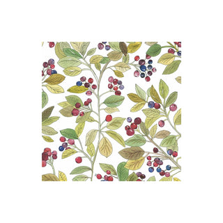 Paperproducts Design Disposable Napkin, Multicolor