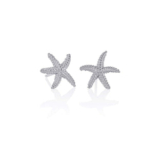 namana Earring, Silver, Stud