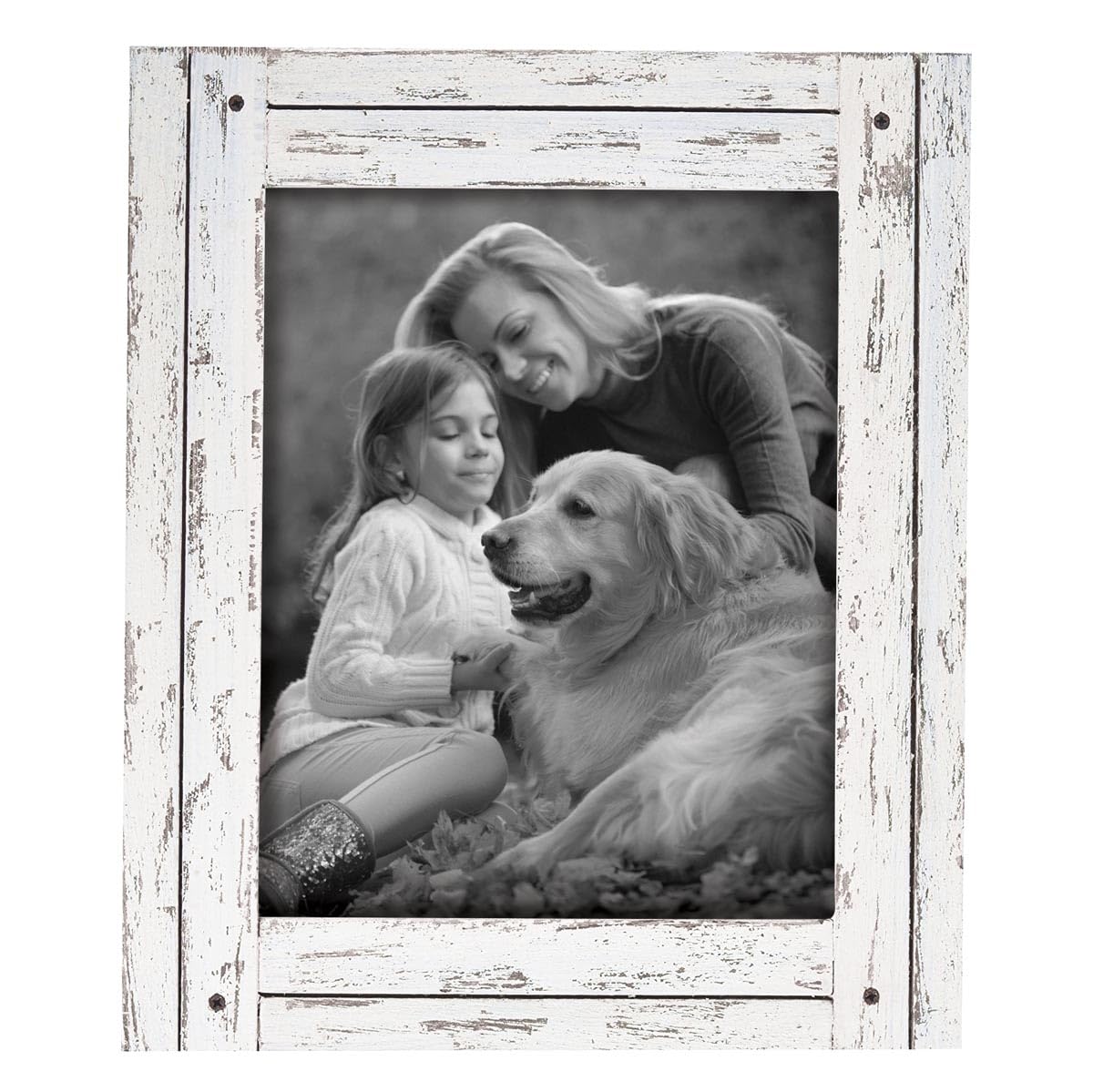 Foreside Home and Garden Picture Frame, 8 x 10 Single, White