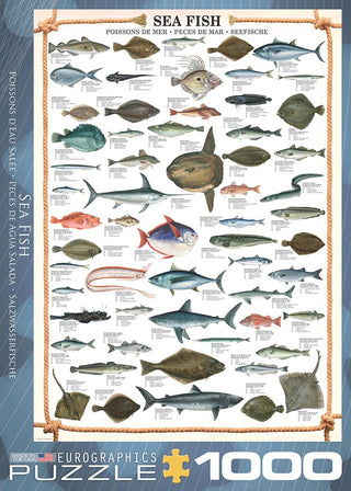 EuroGraphics Toys And Games, 1000, Realistic/Educational