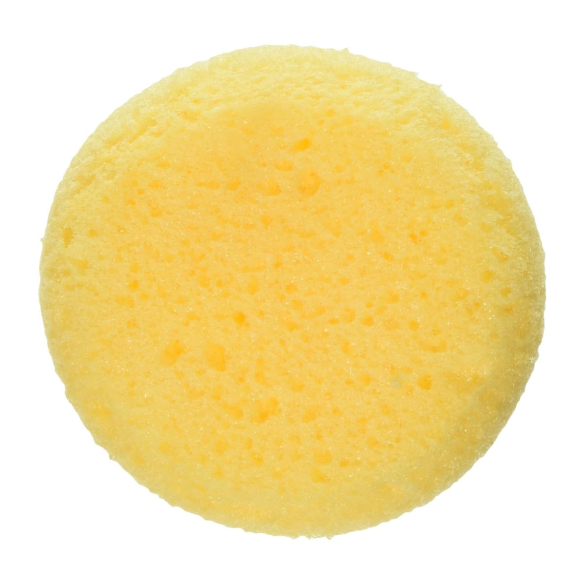 Graftobian Cosmetic Sponge, 1 Count (Pack of 1), Multi-colored