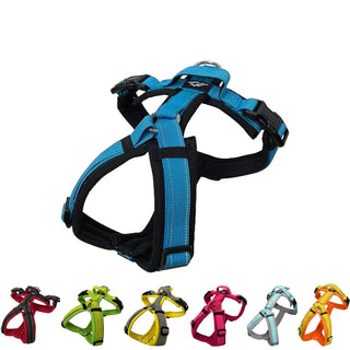 hakusan Animal Harness, S, Black×Turquoise