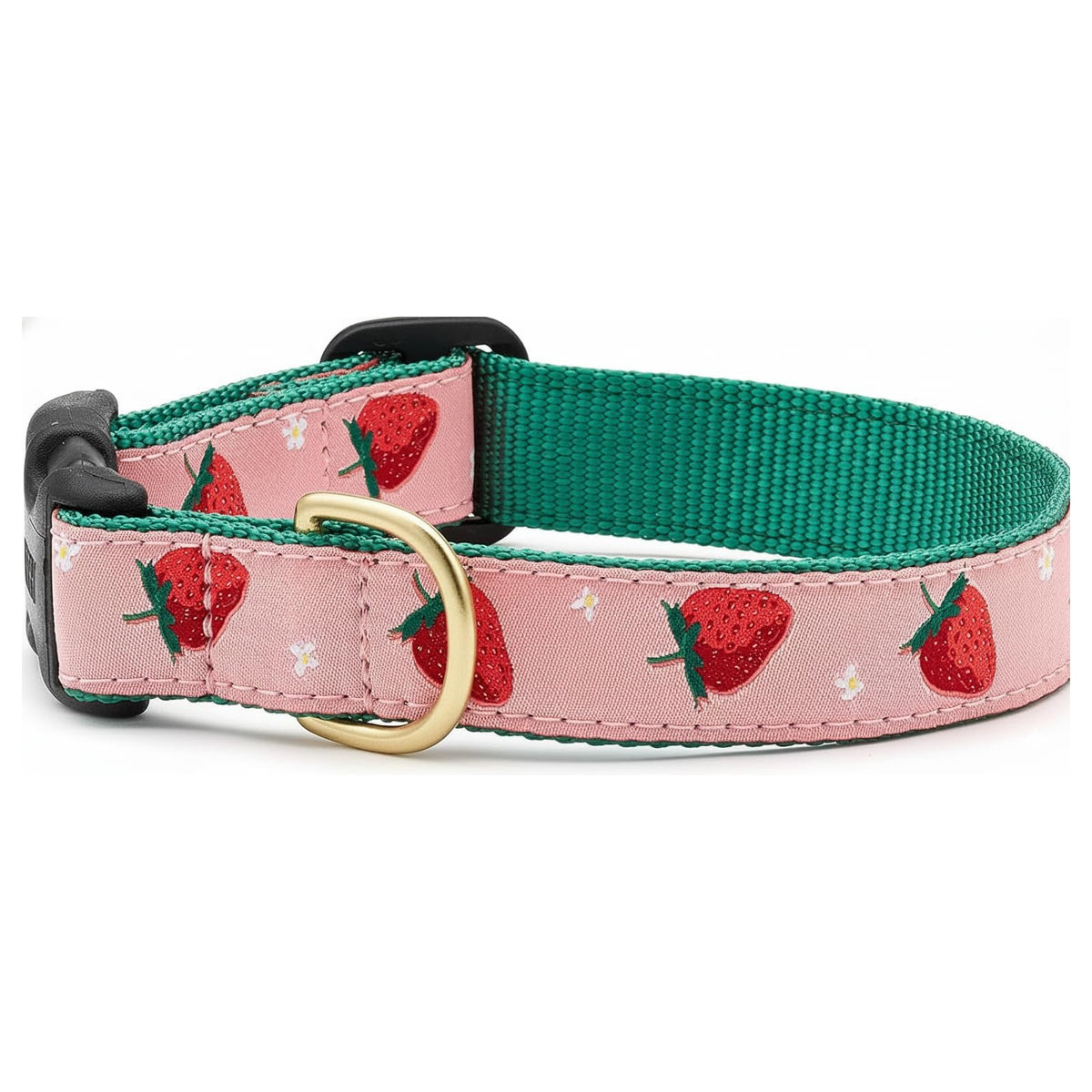 Up Country Animal Collar