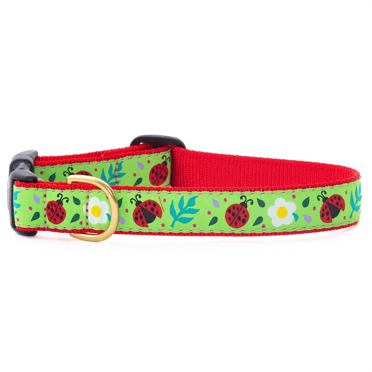 Up Country Animal Collar, Medium (12"-18") 1" width, Green