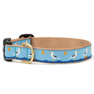 Up Country Animal Collar