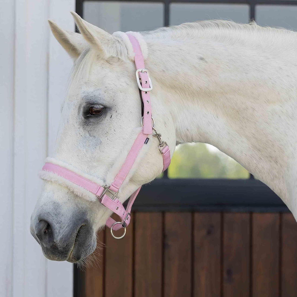 Equinavia Pet Supplies, Cob, Sweet Pink/Ivory White