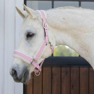 Equinavia Pet Supplies, Horse, Sweet Pink/Ivory White