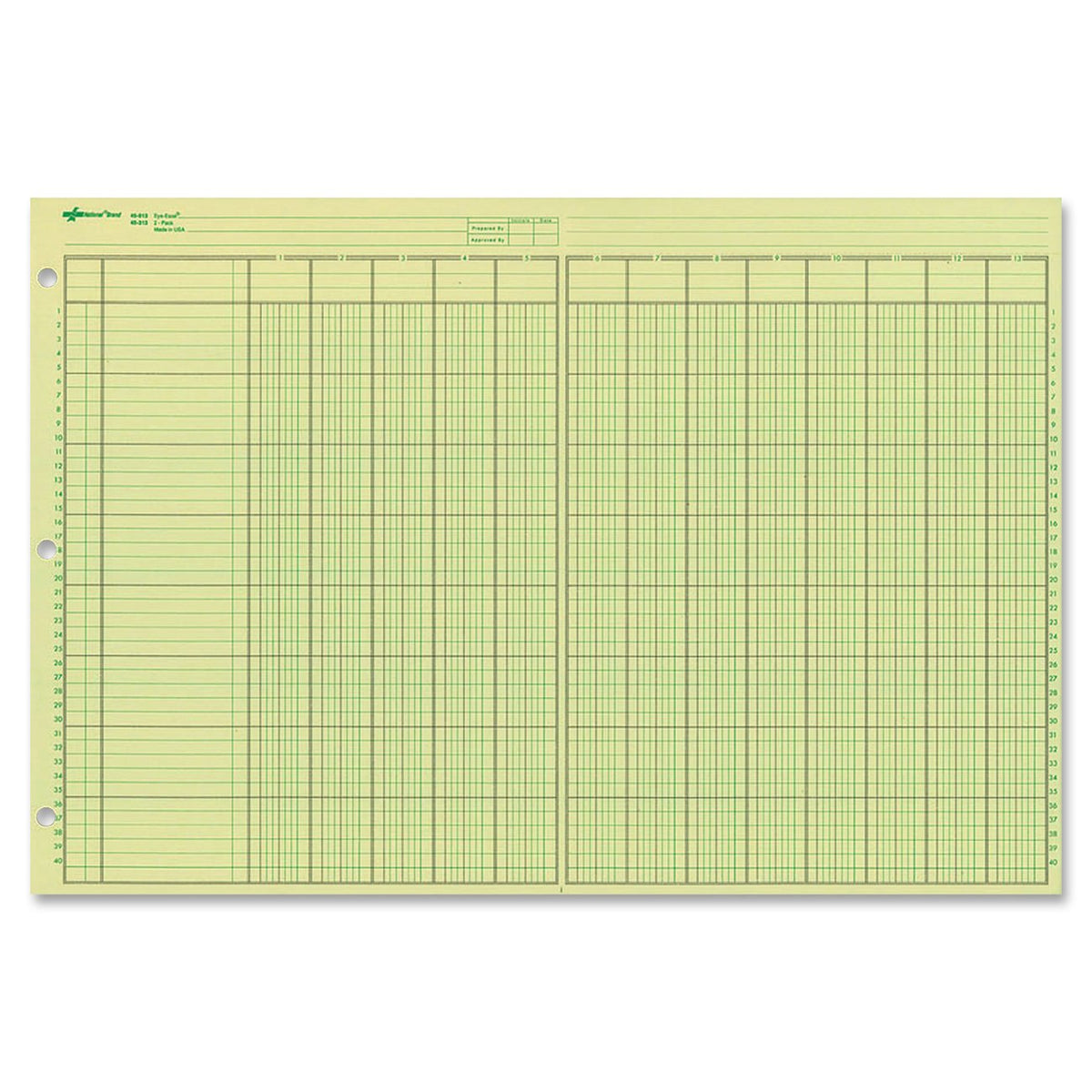 National Blank Book, 11" x 16.375", Green