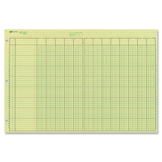 National Blank Book, 11" x 16.375", Green