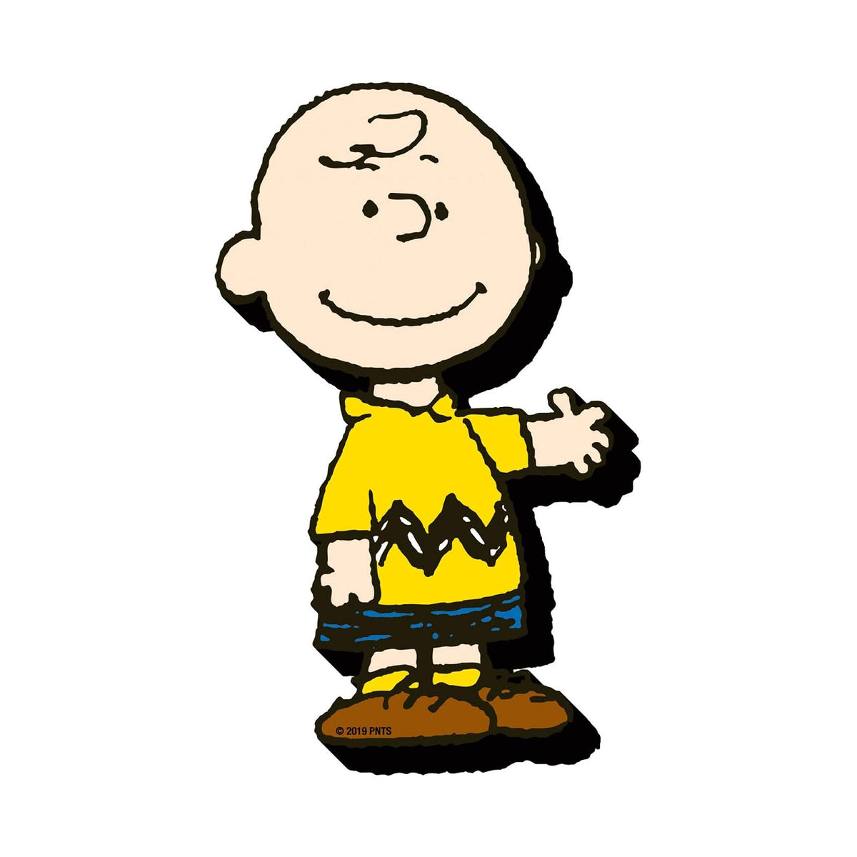 AQUARIUS Decorative Magnet, Charlie Brown, Fridge Magnet