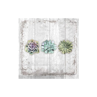 ihr SINCE 1977 Disposable Napkin, 5" x 5", Succulents Still Life
