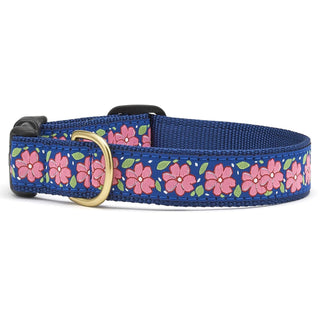 Up Country Animal Collar