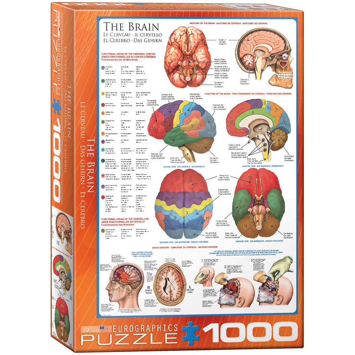 EuroGraphics Puzzles, 1000, Multi Color