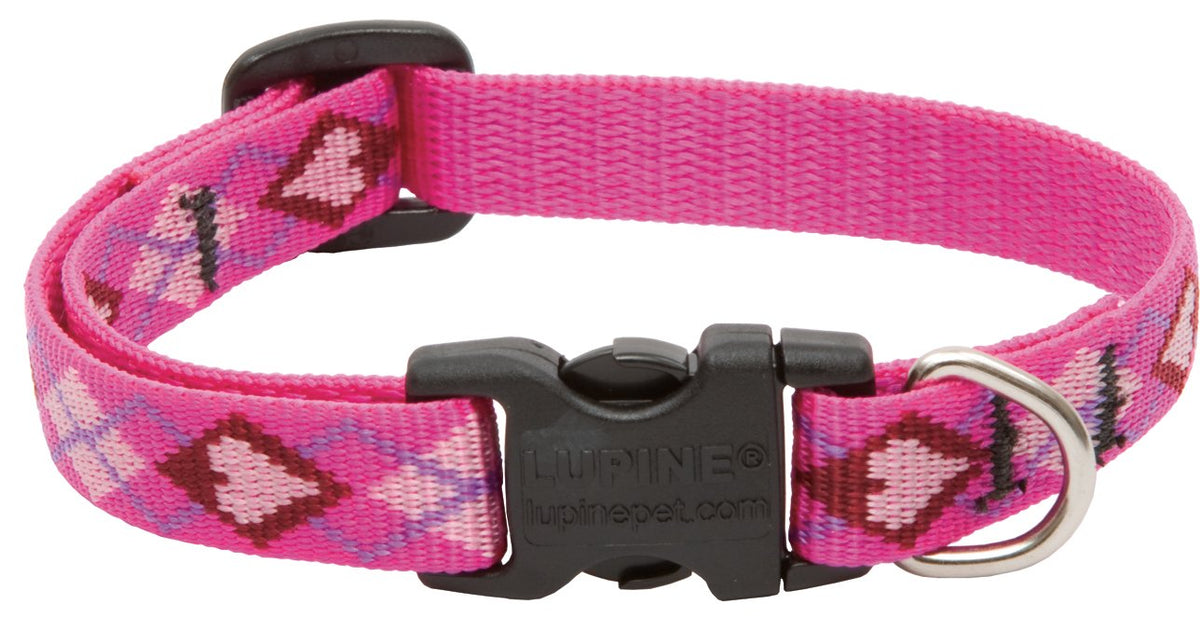 LupinePet Animal Collar, 1/2"Width; 10-16" Neck, Puppy Love