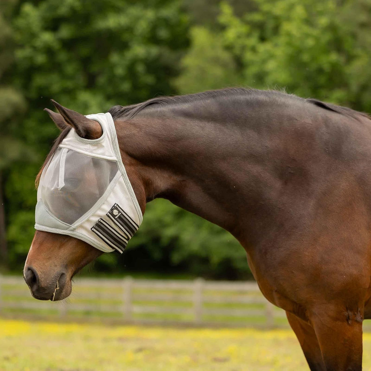 Equinavia Pet Pest Control, Pony, Silver