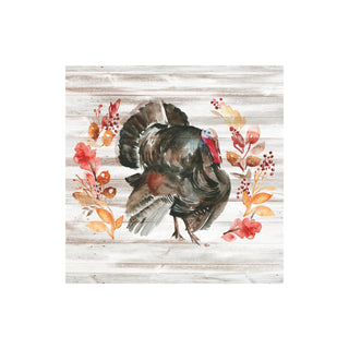 Paperproducts Design Disposable Napkin