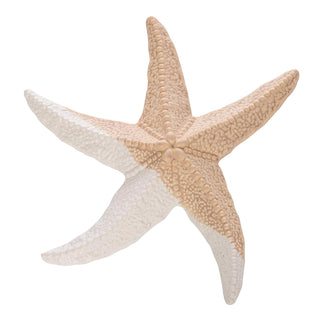 Beachcombers Wall Art, 9.8"L x 8.8"W, Multicolor