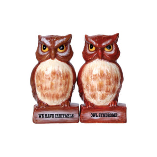 Pacific Giftware Food Shaker