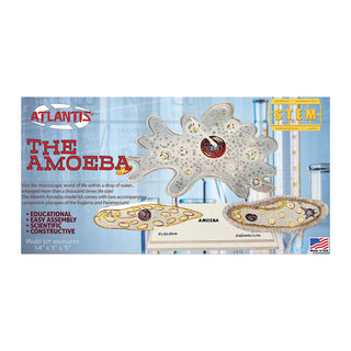 Atlantis Art Craft Kit