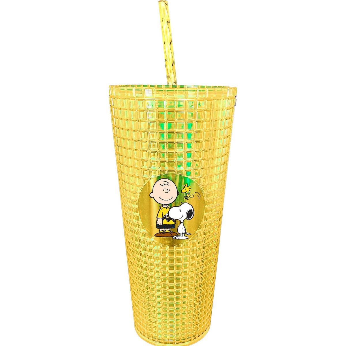 Spoontiques Drinking Cup, 20 Ounces, Charlie Brown & Snoopy
