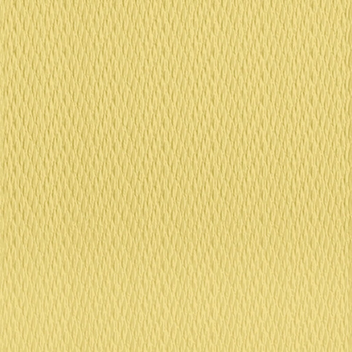 Boston International Disposable Napkin