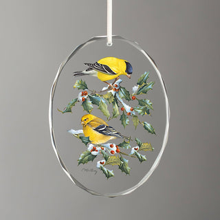 Wild Wings Hanging Ornament, Multi Color