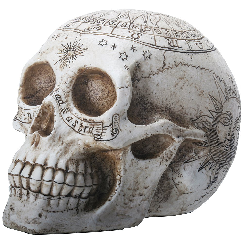 Pacific Trading YTC 7.75 Inch Resin Skull with Astrology Engravings, White Colored