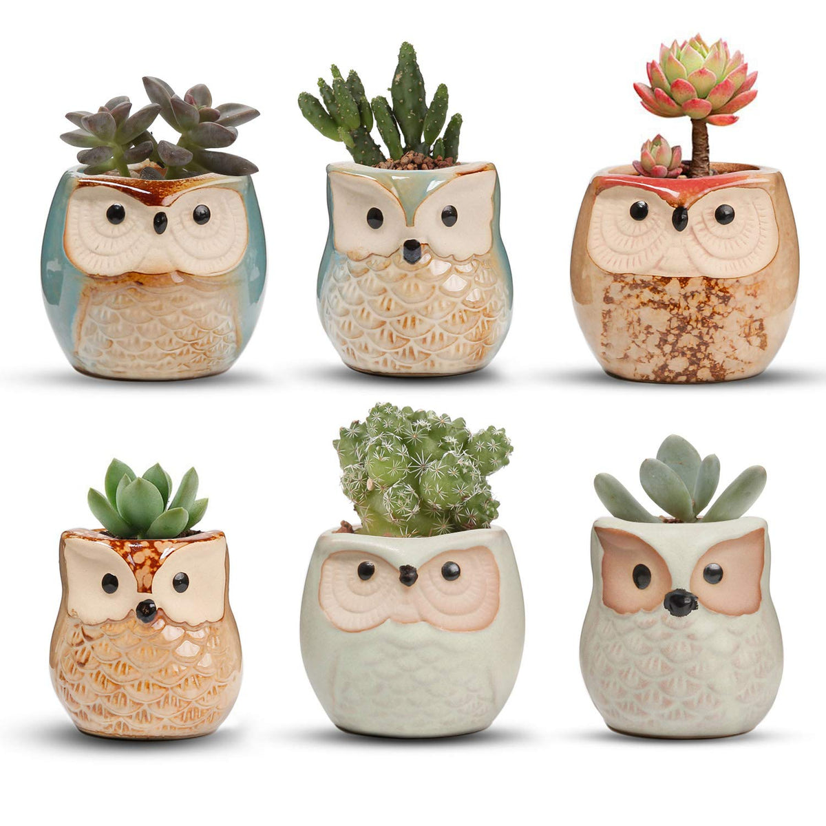 T4U Small Ceramic Flowing Glaze Succulent Planter Pot, Cute Owl Bonsai Pot for Decor Desktop Windowsill Bookshelf, on Christmas and Birthday, Pack of 6(Excluding Plants)