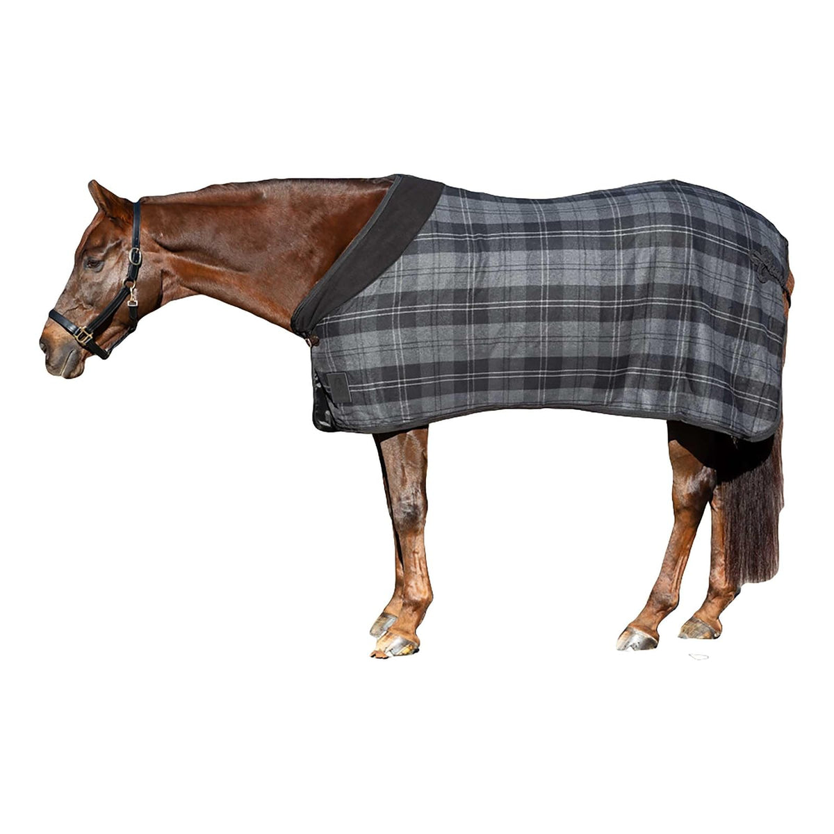 Equinavia Pet Apparel