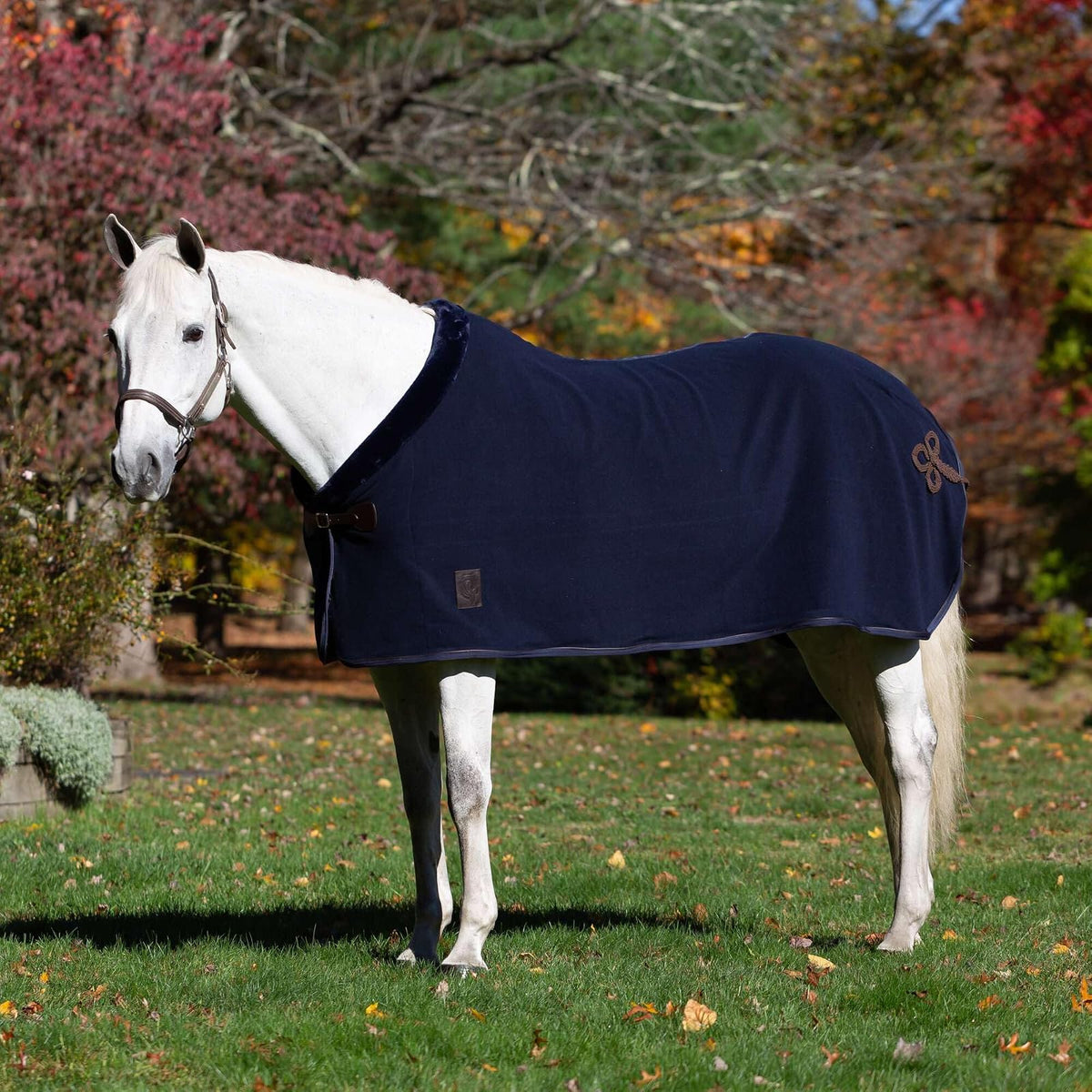 Equinavia Pet Apparel, 78 in, Navy/Brown