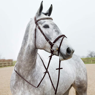 HORZE Weston Padded Leather Horse Snaffle Bridle with Flash Noseband and Web Reins - Brown - Warmblood