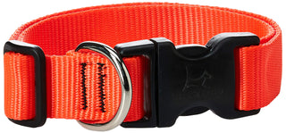 LupinePet Animal Collar