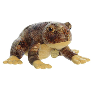Aurora Toys And Games