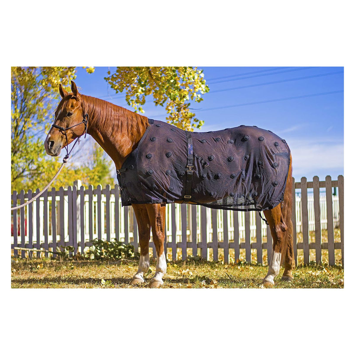 BENEFAB Blanket, 72", Black