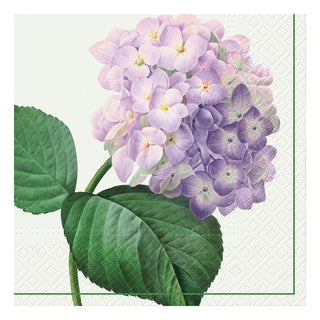 Abbott Collection Disposable Napkin, 6.5"SQ, Purple