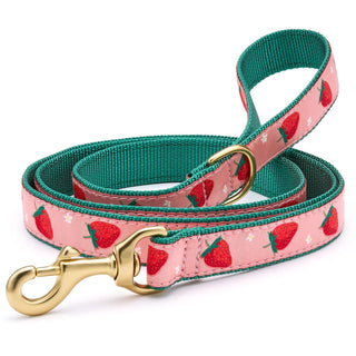 Up Country Leash