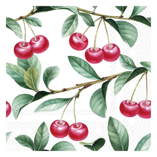Boston International Disposable Napkin, 5" x 5", Cherry Lovers