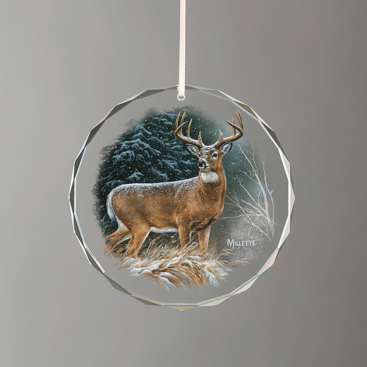 Wild Wings Hanging Ornament, Multi Color